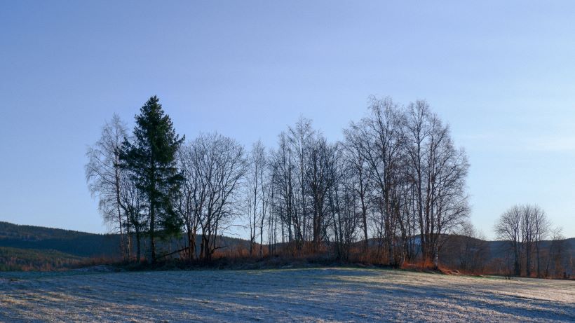 dekkverksted Hurdal