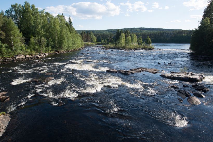 tire workshop Elverum